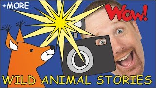 Wild Animal Stories for Kids | Magic Animals from Steve and Maggie | Story for Kids | Wow English TV