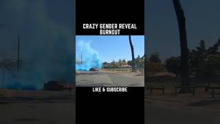 Crazy Gender Reveal Burnout! Dash Cam 💨