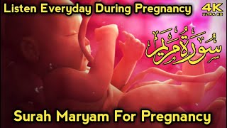 Surah Maryam For Pregnancy | Surah Maryam | Qari Abdul Wahab Chang