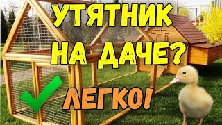 🐤Утятник за 2 дня ЛЕГКО! Как построить летний утятник своими руками на даче. 🐤Строим загон для уток🏠