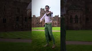 Wedding Violinist plays Stevie Wonder at Peckforton Castle