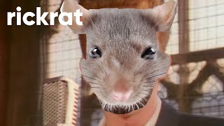 Rickrolling Rat