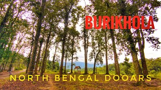 Burikhola North Bengal dooars .. the wb number plate