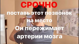 Никогда не делай этой ошибки. Срочно поставь все свои позвонки на место прямо сейчас.