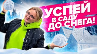 УСПЕЙ СДЕЛАТЬ В САДУ И ОГОРОДЕ ДО СНЕГА! Что делать в саду в конце октября? Укрытие растений