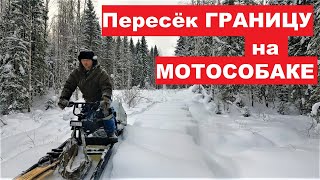 В СОСЕДНЮЮ ОБЛАСТЬ через ЛЕС напролом на МОТОБУКСИРОВЩИКЕ. ГРАНИЦА! ТАЙГА!