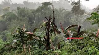 beginilah suasana hujan deras di pegunungan || hanya bisa berdoa dan tidur nyenyak