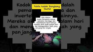 Fakta Kodok Bangkong (Bufo) #sorts #faktahewan #kodok