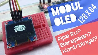 Modul OLED 128 x 64 : Apa itu? Brapa Harganya? Bagaimana Mengguakannya?