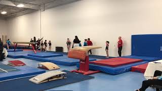 Sydney So | Gymnastics | Age 11 Level 7 Vault | Woodbridge Qualifier | Feb 4, 2018