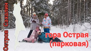 гора Острая(парковая). Сахалин. Поход за счастьем. 14.01.24