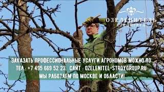 Услуги агрономов по уходу за садовыми растениями на участках Москвы, МО. Заказать выезд 84956695223