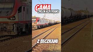 GAMA Orlen koltrans #pociąg #pociągi #towar #railway #warszawa #rerespect #shorts #shorts #youtube