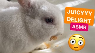 SO MUCH JUICE 😱🍊| Cute White Rabbit Eating ASMR