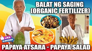 Papaya Atsara or Papaya Salad | Balat ng Saging (Organic Fertilizer)