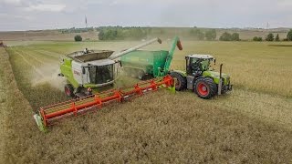 (SHORTCLIP) | 3x CLAAS LEXION | 770TT & 600TT | CLAAS XERION 3800 | MASSEY-FERGUSON | HAWE |