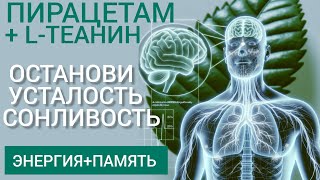 Заряд Энергии Высокая Трудоспособность Активная Память l Phenylpiracetam + L-theanine - Benefits