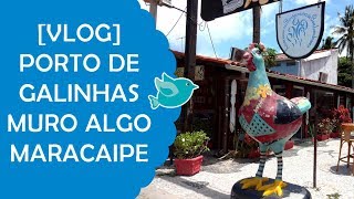 O Que Fazer em Porto de Galinhas, Muro Alto e Maracaípe | Fê Rabaglio