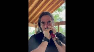 CRAZIEST HARMONICA SOLO! #harmonica #music #harmonicaplayer #hohnerharmonica #harmonicas #musica