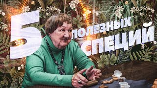 5 самых полезных специй от Натальи Замятиной