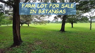 #76 HOLD - FARM LOT for Sale in Batangas Philippines