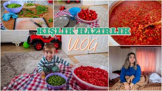 KALP İLACINA BAŞLADIK 💊 BOZULMAYAN KONSERVE MENEMEN TARİFİ🍅 BİZ BÖYLE YAPIYORUZ 🫠 GÜNLÜK VLOG