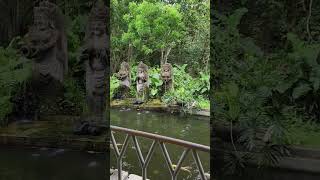 Monkey forest Ubud Bali (1)