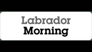 CBC Labrador Morning Buck Burden Talks About Lack of Business Coming From Muskrat Falls Jan 26 2015