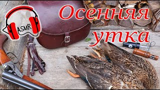 Охота на утку на озере с собакой Ленинградская область 2022. ASMR