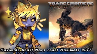 Maximals Beast Wars React Maximals ROTB|🇧🇷🇺🇲🇪🇦🇷🇺|Nirimi_Kun