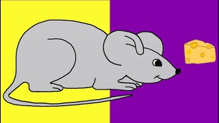 How to Draw a Mouse for Kids Step by Step. Easy Drawings for Kids