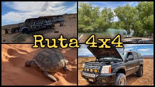 Gran Aventura 4x4, Variedad de Terrenos, Duna, lago, Rio, Piedra.