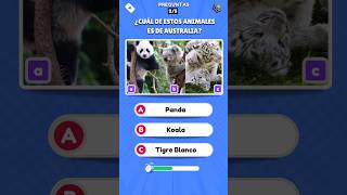 ¿De qué país es el KOALA❓🤔/responde 5 PREGUNTAS✋ #trivia #quiz #koala