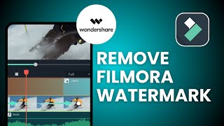 How To Remove Filmora Watermark