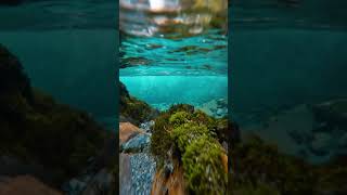 Relaxing music 🎶☺️| Nature whatsapp HD status #respect  #nature video