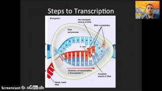 2.7 & 7.2 -  Transcription