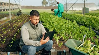 🌏 SOS Planeta • Diversificación de sistemas agroalimentarios