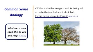 Matthew 12:33 - 37 (The Tree is Known by Its Fruit)