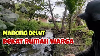 Mancing belut dekat rumah warga hasilnya diluar dugaan #SF160 Mancing belut pinggir jalan