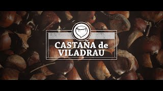 Castañas españolas de Viladrau, sus propiedades, historia y receta