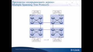 Различия протоколов семейства Spanning Tree Protocol (STP)