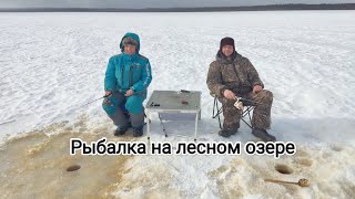 Рыбалка на лесном озере!