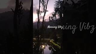 Morning Vibz @amaanaplantationresort5214 #trendingshorts #naturelovers #thekkady #travelvlog