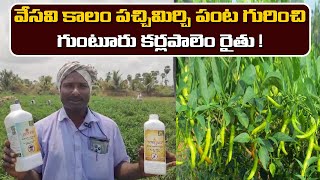 #Vaayuu #Yantra #MirapaPanta వేసవి కాలం పచ్చిమిర్చి పంట గురించి గుంటూరు కర్లపాలెం రైతు | YK Lab