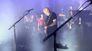 David Gilmour Comfortably numb  Live Albert Hall October 15 2024