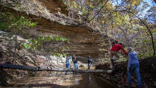 Baldwin Woods Forest Preserve: Fall tour