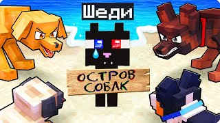 😿Я ОДИН КОТ НА ОСТРОВЕ СОБАК +ВЕБКА В МАЙНКРАФТ! ШЕДИ MINECRAFT