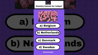 Guess the country known for tulips?