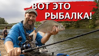 КАК ПОЙМАТЬ НА ФИДЕР ОСЕНЬЮ? В деревенской речке водятся МОНСТРЫ!