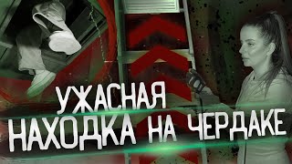 ПРИТАЩИЛИ СТРЕМЯНКУ, ЧТОБЫ ЗАЛЕЗТЬ НА ЧЕРДАК. ОТВРАТИТЕЛЬНАЯ НАХОДКА. ЧУТЬ НЕ ПОПАЛИСЬ В ЗАБРОШКЕ